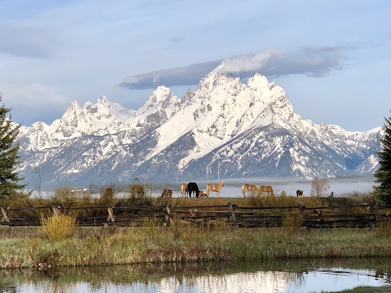 Moose Head Ranch - Photo 1