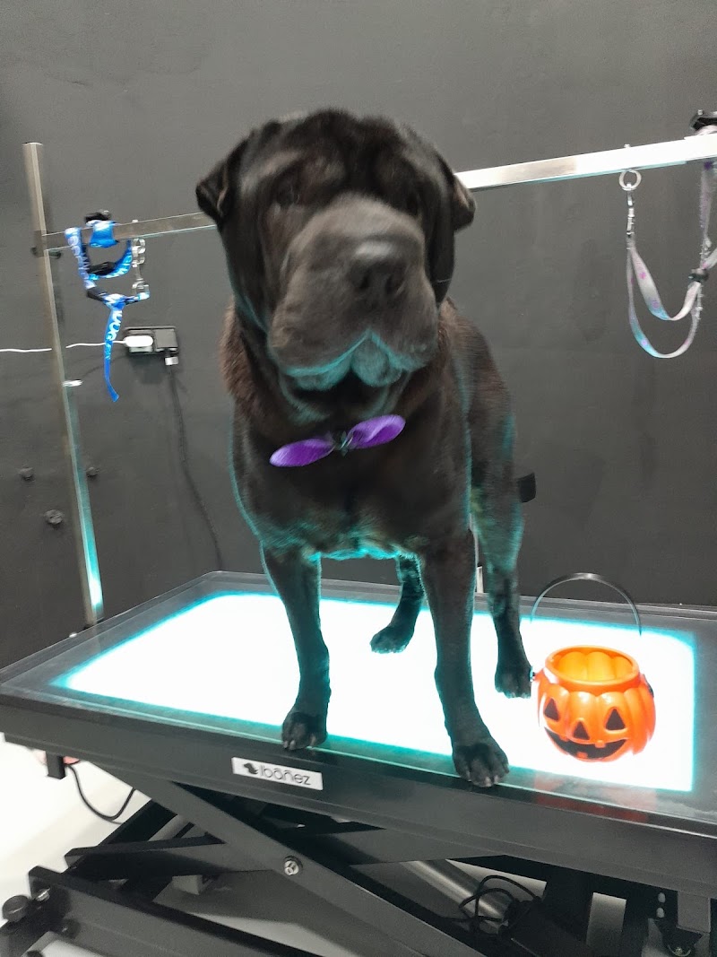 Kaizen Peluquería & Spa photo 2