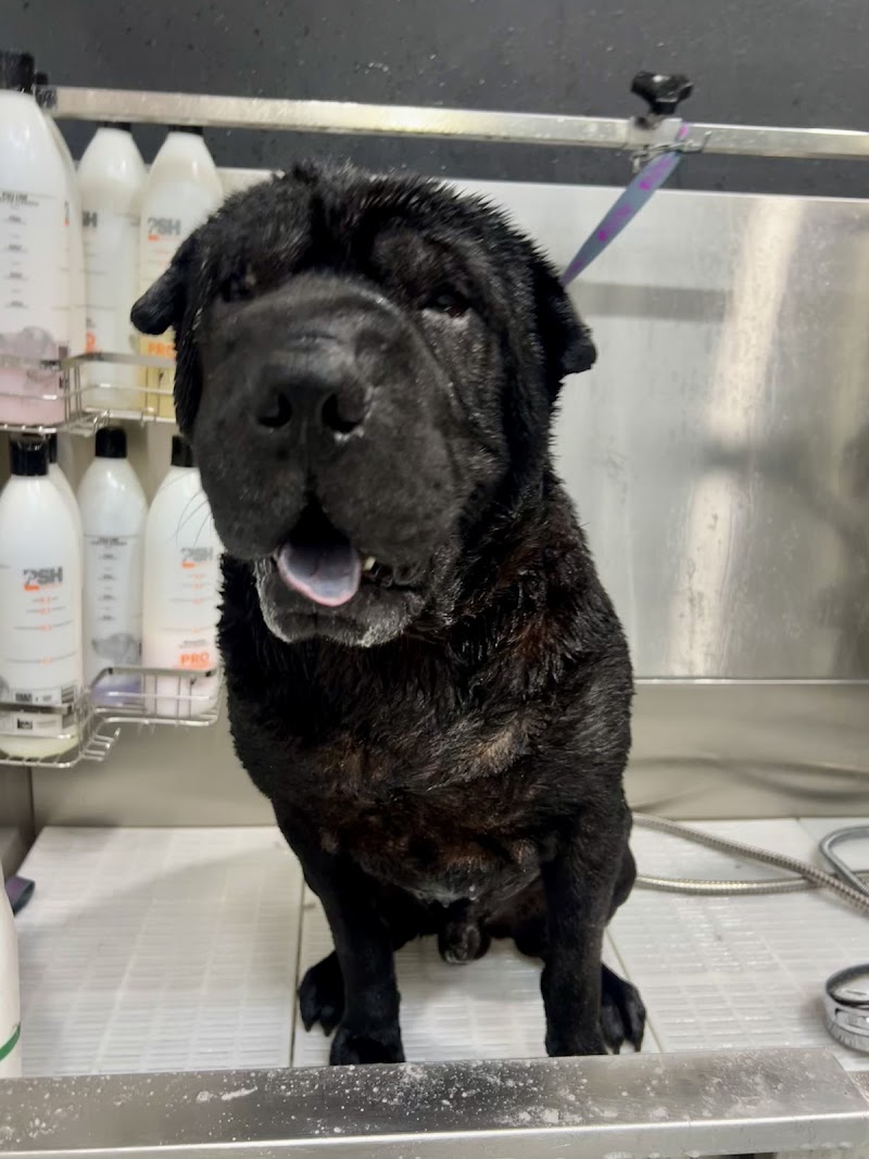 Kaizen Peluquería & Spa photo 4