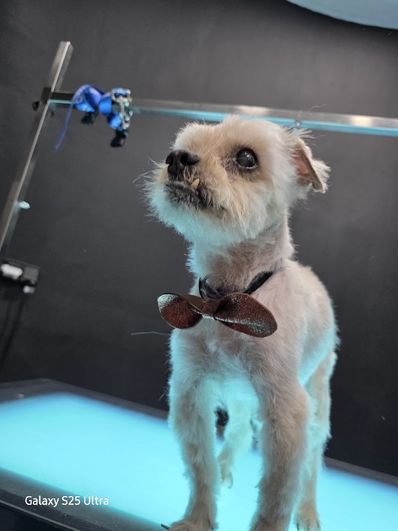 Kaizen Peluquería & Spa photo 5