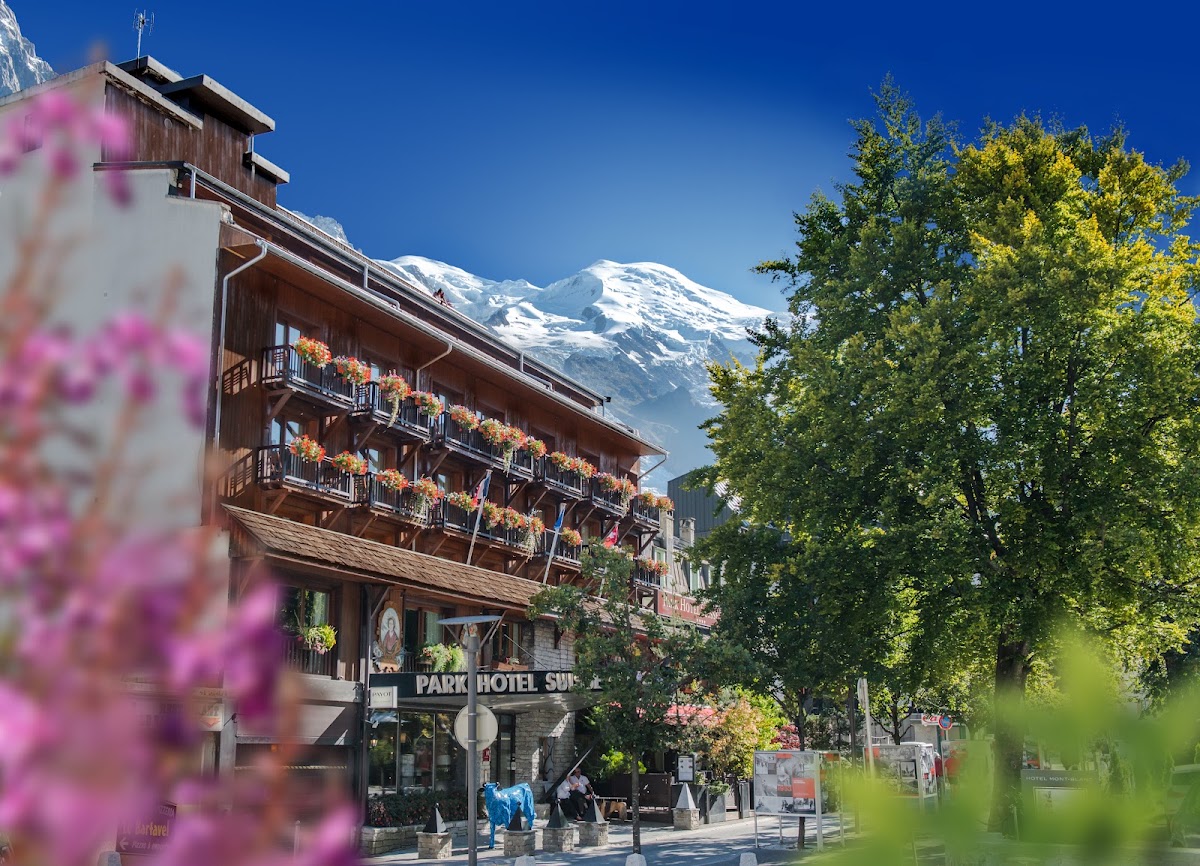 Hôtel Le Morgane, dog-friendly hotel in Chamonix