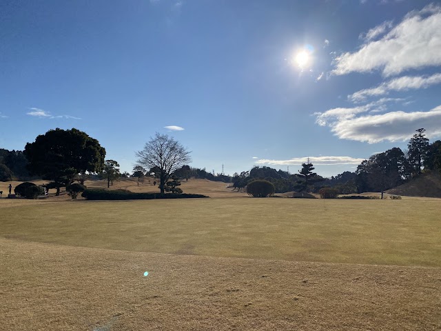 Turtle Ace Golf Club - Photo 3