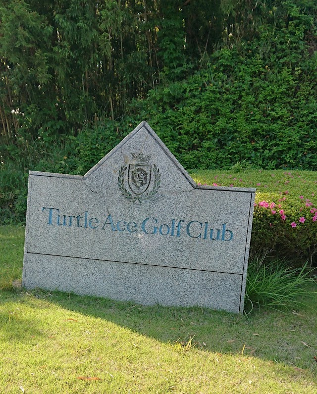 Turtle Ace Golf Club - Photo 10