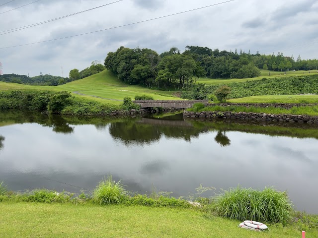 Turtle Ace Golf Club - Photo 1