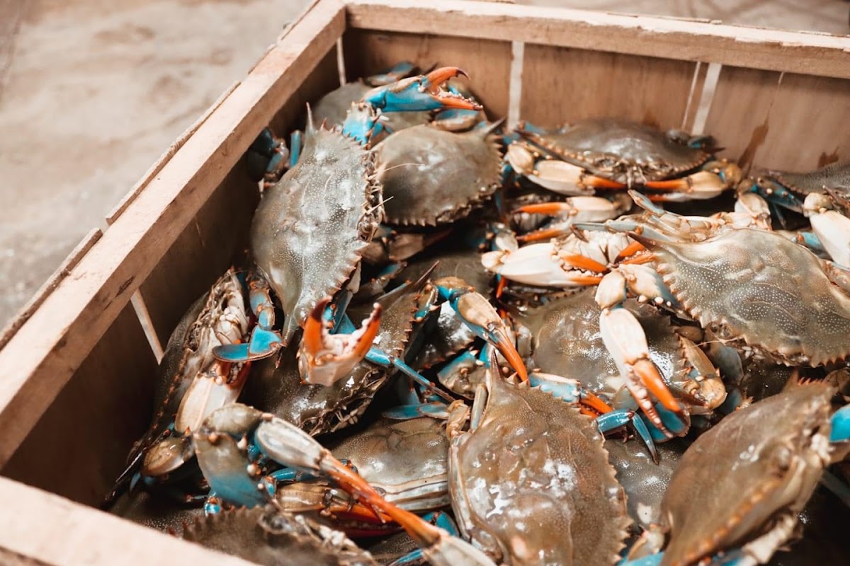 Family Seafood Market photo 2