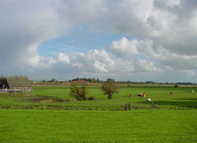 Oudheidkamer Nieuwveen