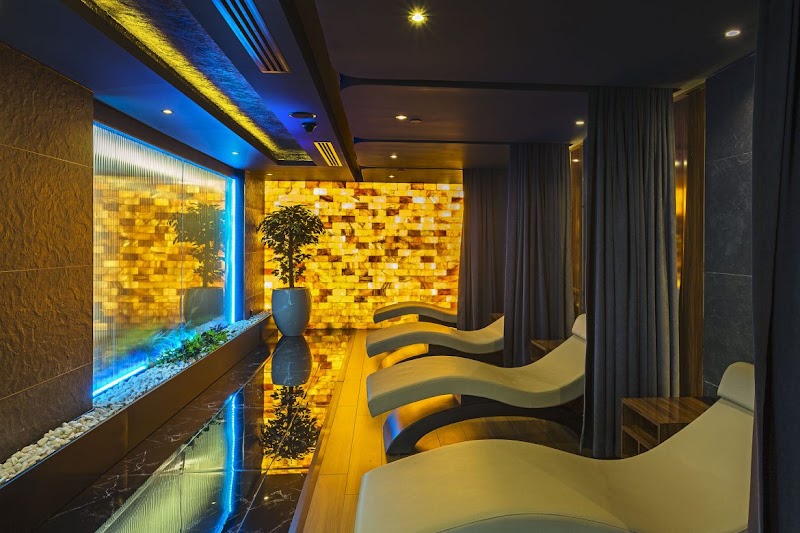 Gallery 5