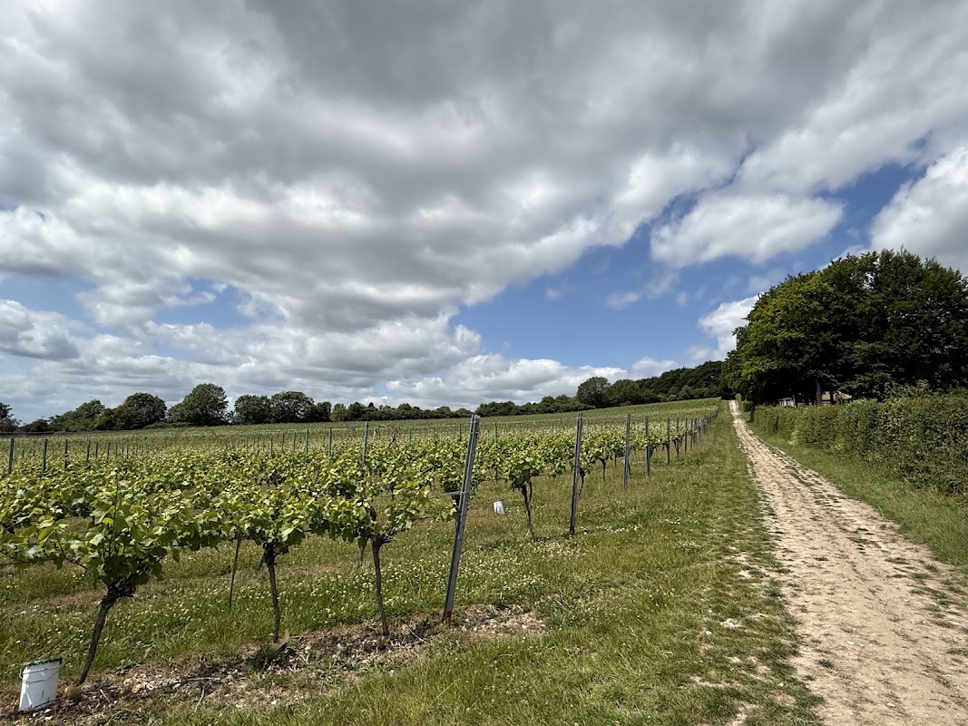Greyfriars Vineyard