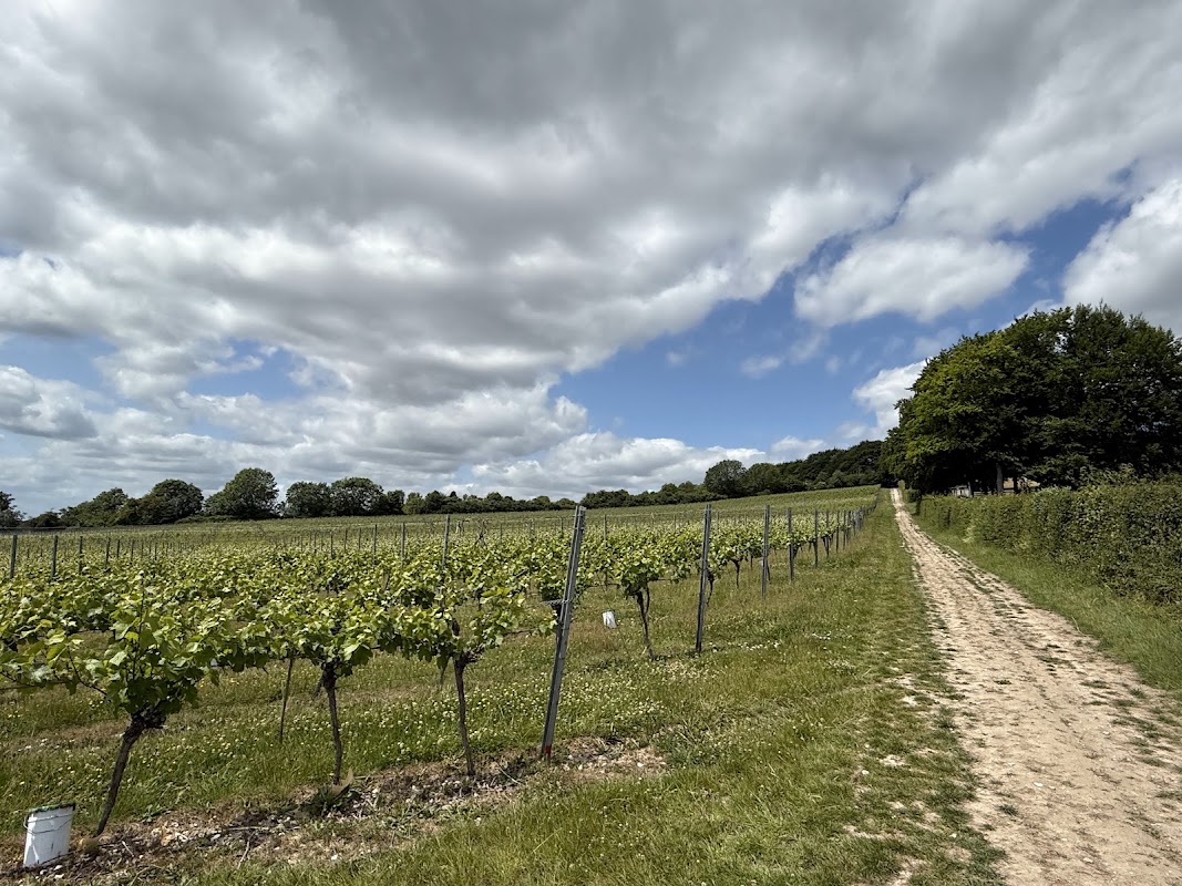 Greyfriars Vineyard