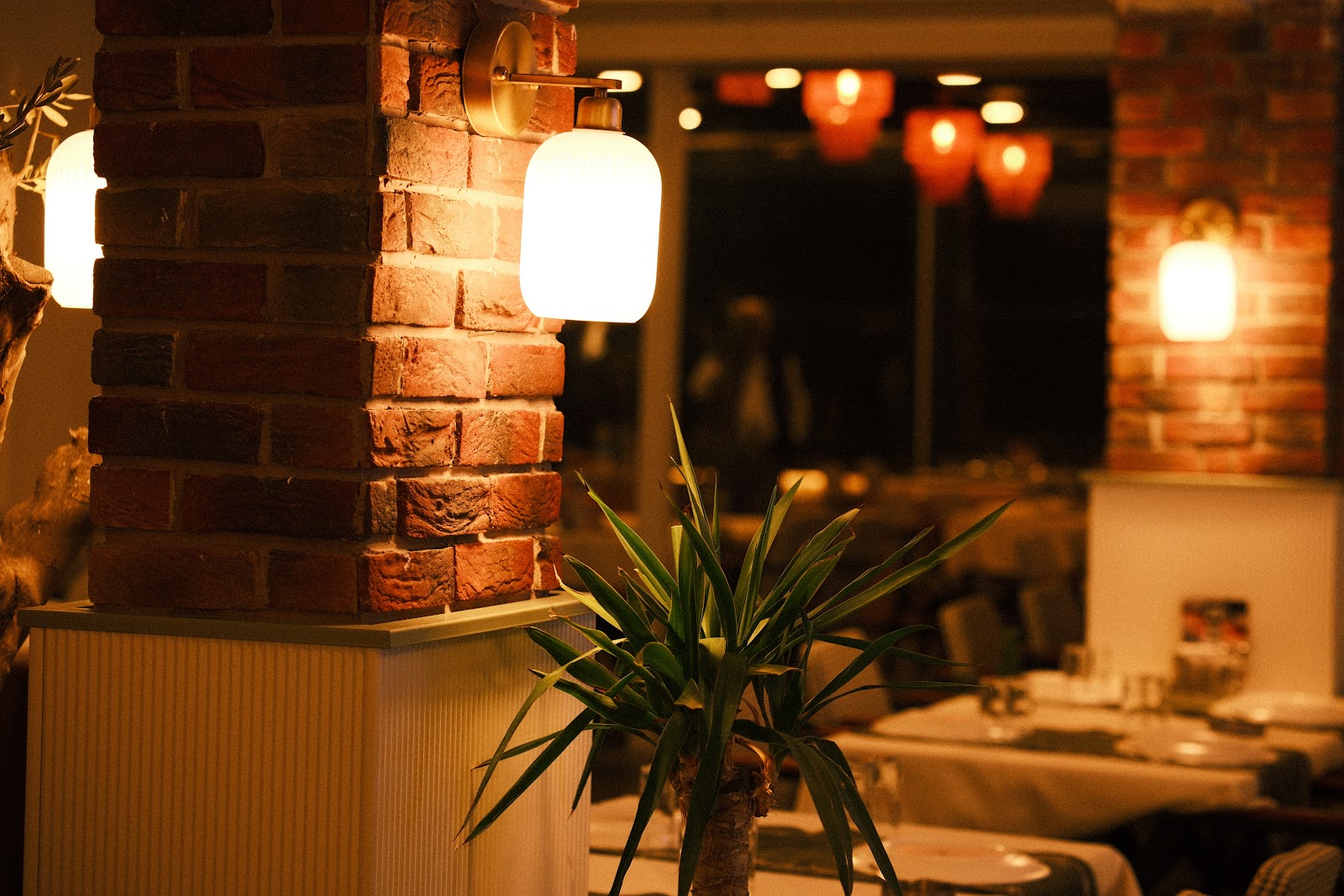Zeytun Restaurant mekanı