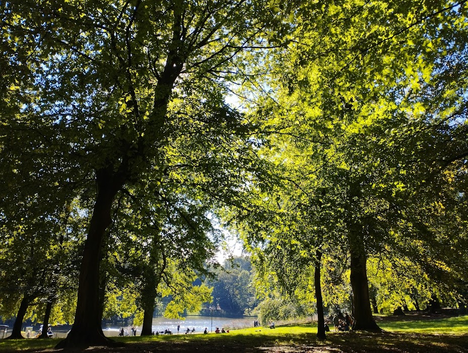 Cambre Woods fotoğraf 1