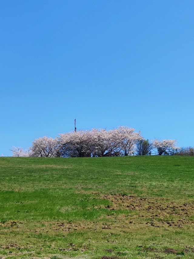 Hakusan Country Club Sensui Course - Photo 7