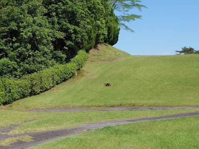 Hiroshima Saeki Country Club - Photo 10