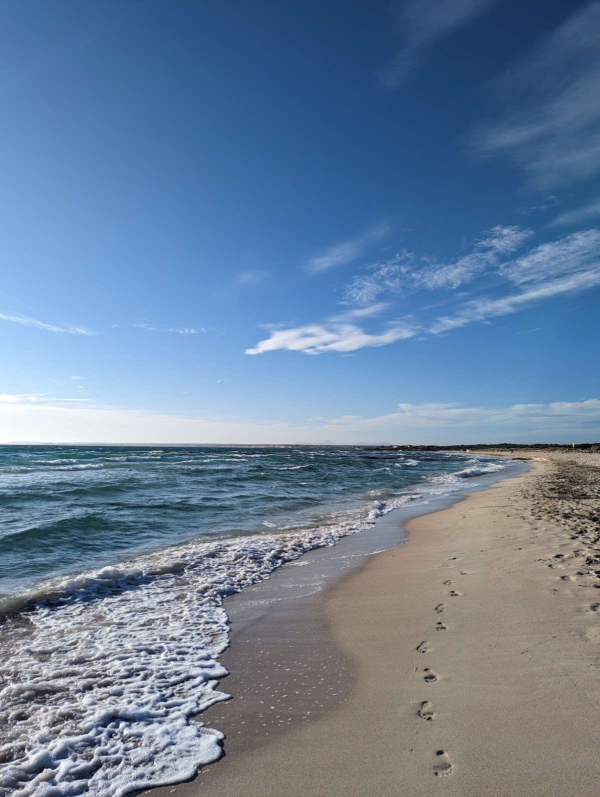 Soul Garden Retreats Mallorca — 3