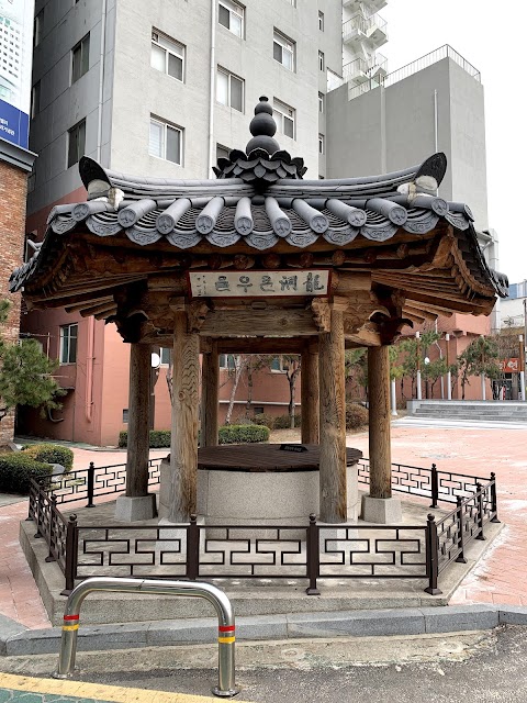 용동큰우물먹거리 반려동물 동반 여행지