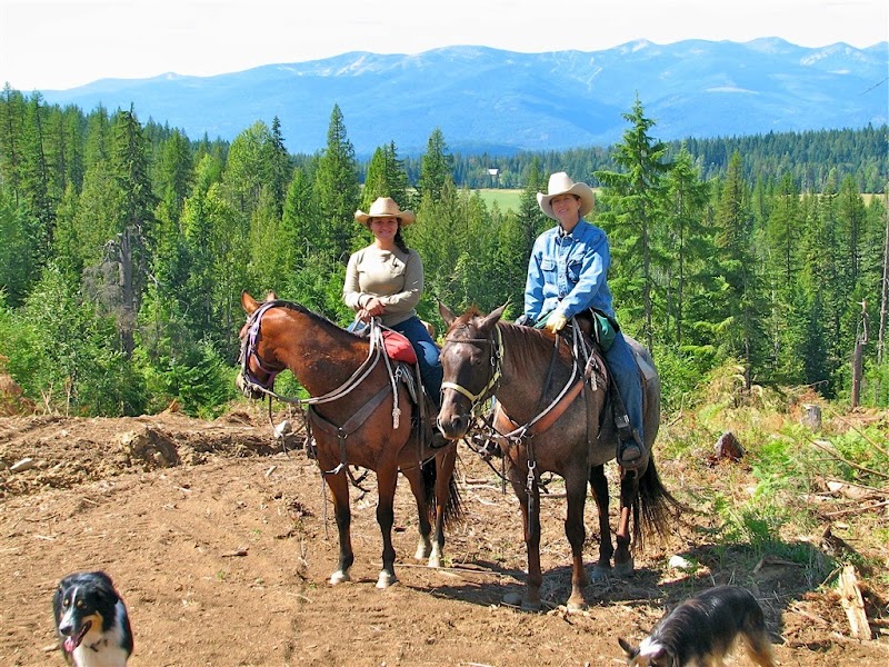 Western Pleasure Guest Ranch - Photo 6
