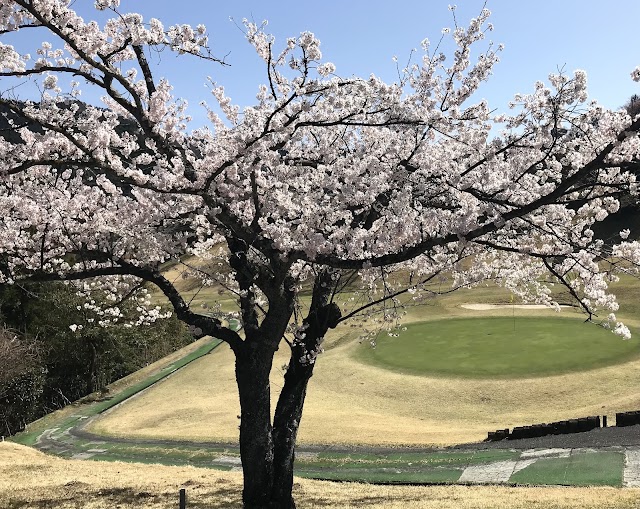 Ogaki Country Club - Photo 5
