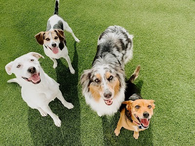 The Ark Pet Spa & Hotel - Southside