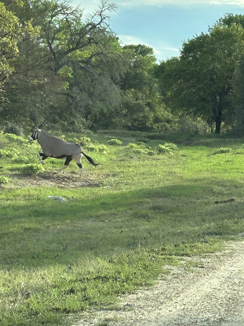 Triple JJJ Ranch - Photo 2