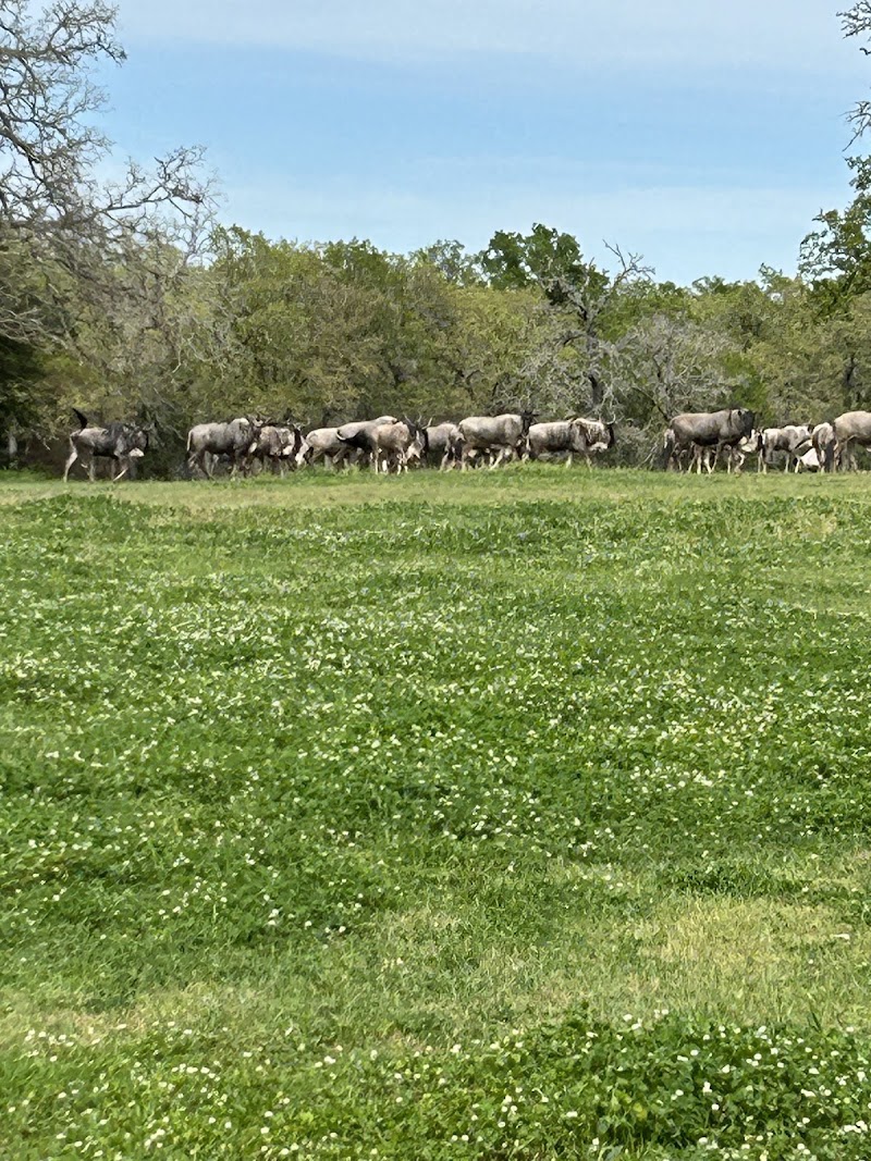 Triple JJJ Ranch - Photo 5
