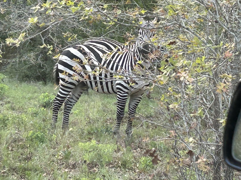 Triple JJJ Ranch - Photo 3