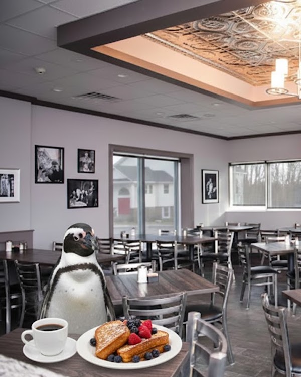 City Line Diner | Brunch | Breakfast | Lunch | Worcester MA | Waffle | Pancakes | Eggs | Omlete
