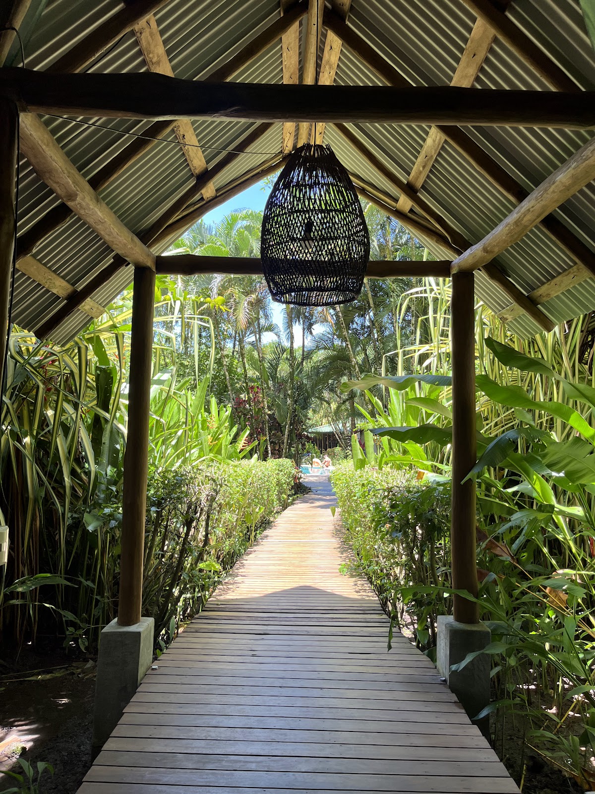 Sacred Paths Yoga Teacher Training (Costa Rica) — 4