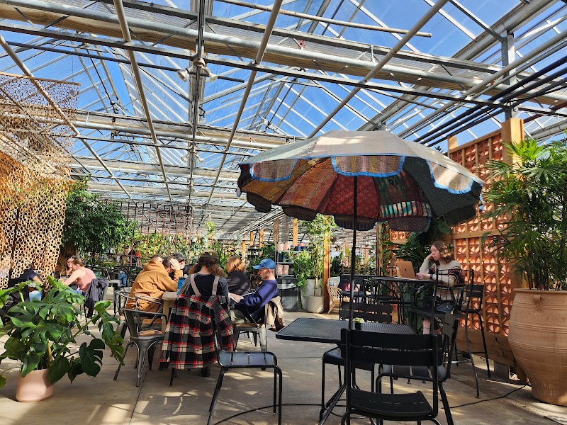 Café Equinox photo 4