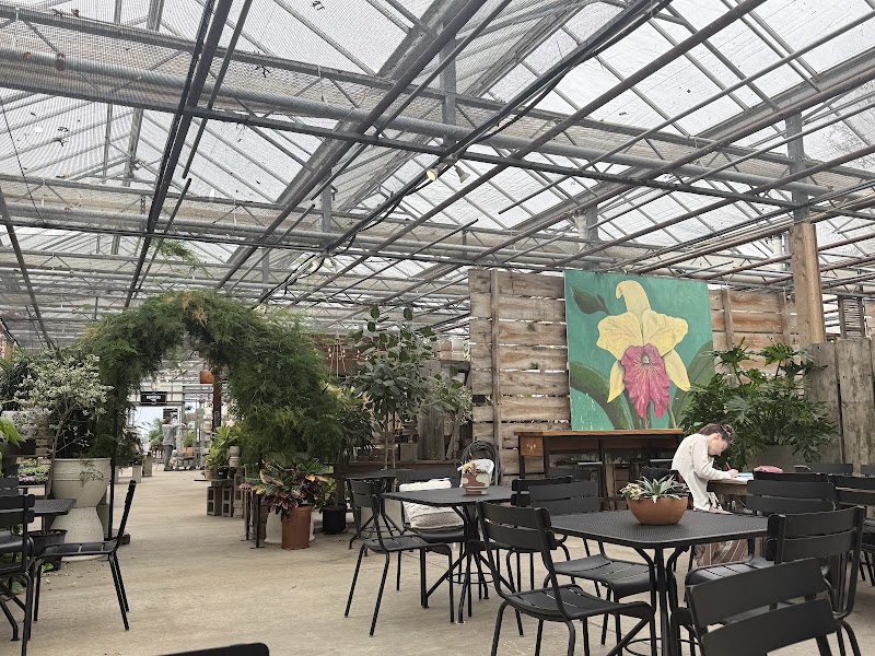 Café Equinox photo 4