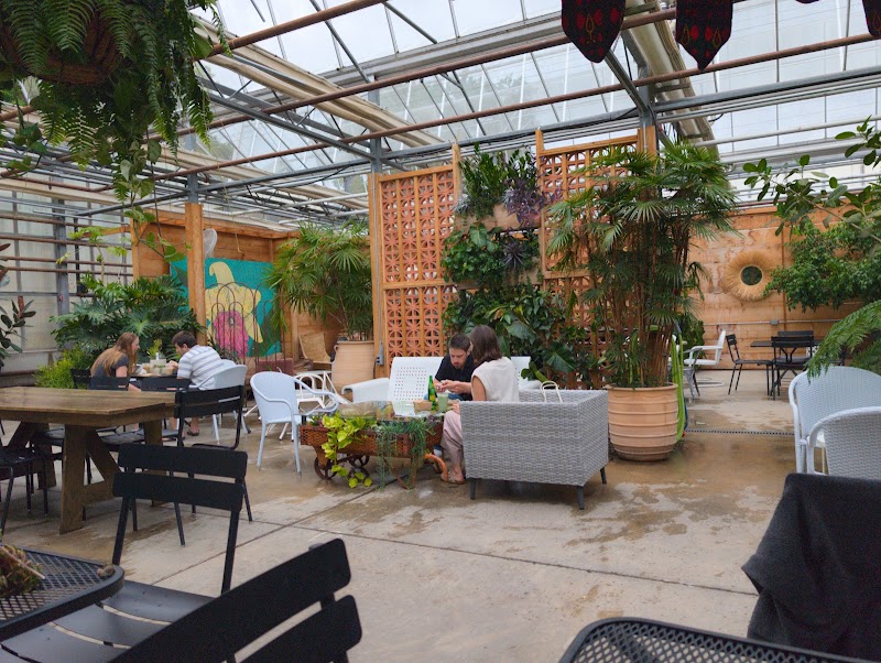 Café Equinox photo 4