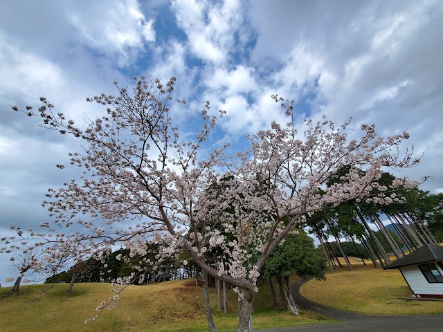 Omura Bay Country Club Old Course - Photo 9