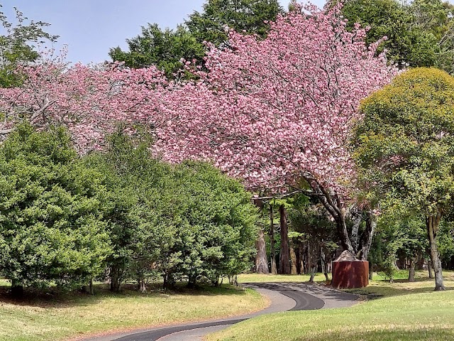 Minami Sō Country Club - Photo 7