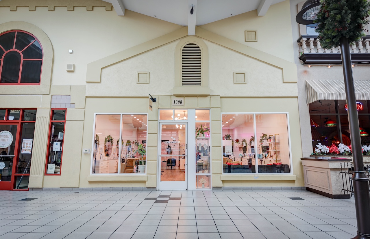 Inside Colourist Beauty Salon — a bright, white-walled hair studio in Lodi