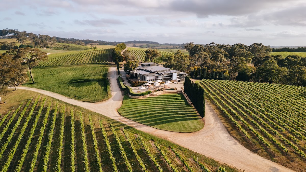 The Lane Vineyard