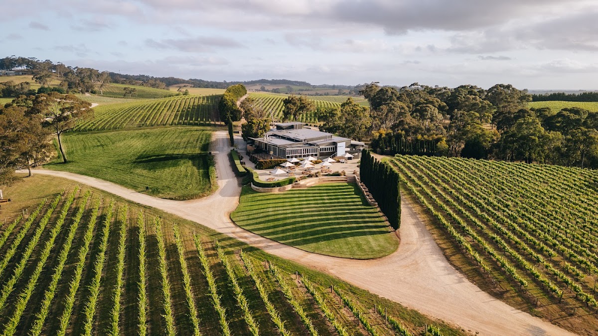 The Lane Vineyard
