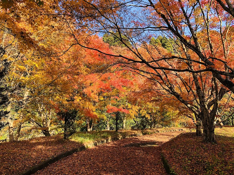 せせらぎの湯 花水木 2