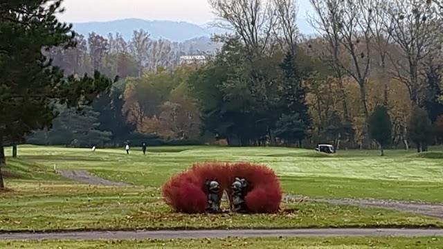 Asahikawa Golf Club - Photo 9