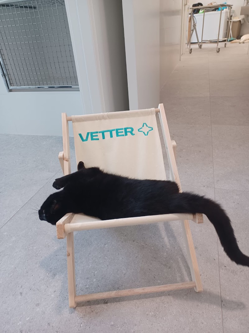 Vetter - Hospital Veterinario 24h Murcia