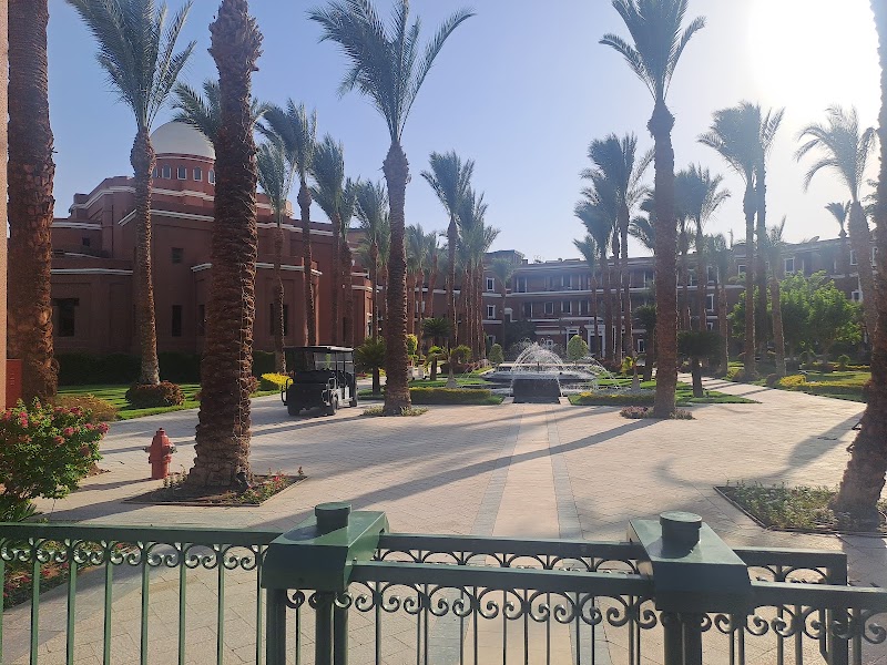 Old Cataract, Aswan photo 5