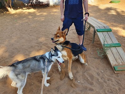 אגודת צער בעלי חיים בישראל