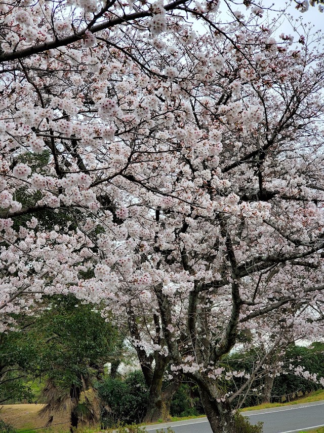 Teiho Country Club - Photo 8