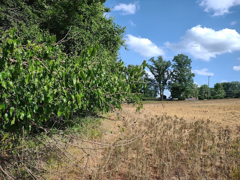 Kestner Wayside Park photo 2