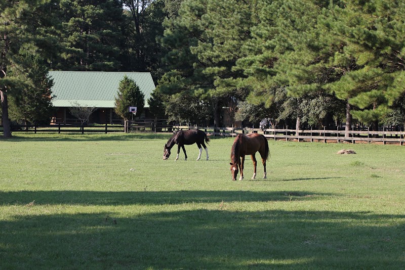 Brushy Creek Ranch - Photo 3