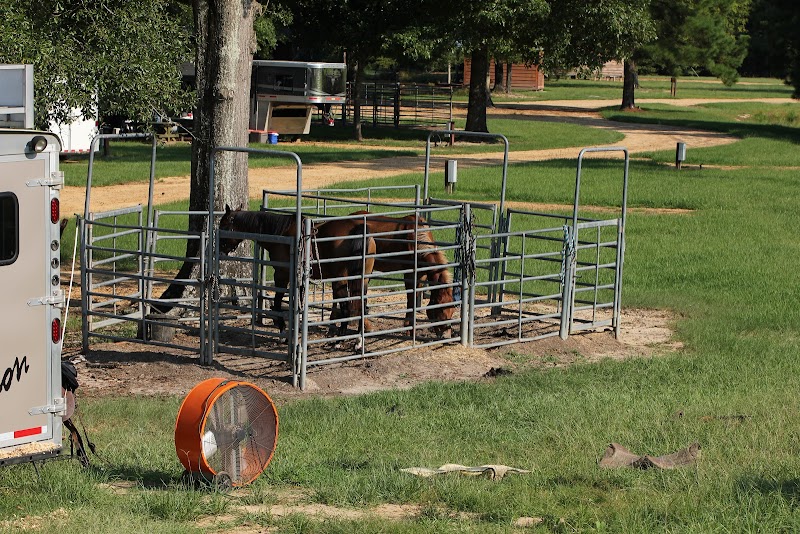Brushy Creek Ranch - Photo 1