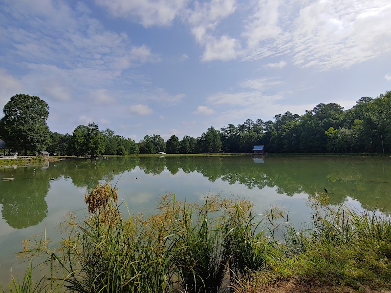 Brushy Creek Ranch - Photo 6