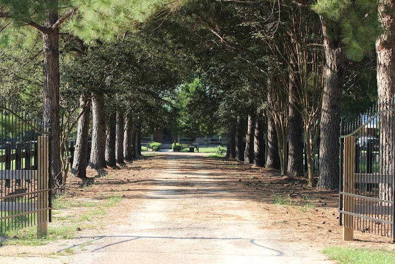 Brushy Creek Ranch - Photo 2