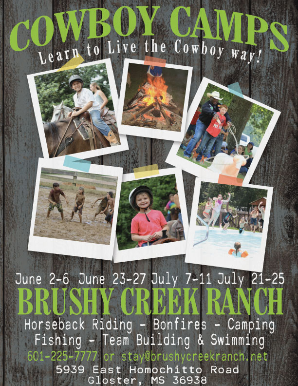 Brushy Creek Ranch - Photo 4