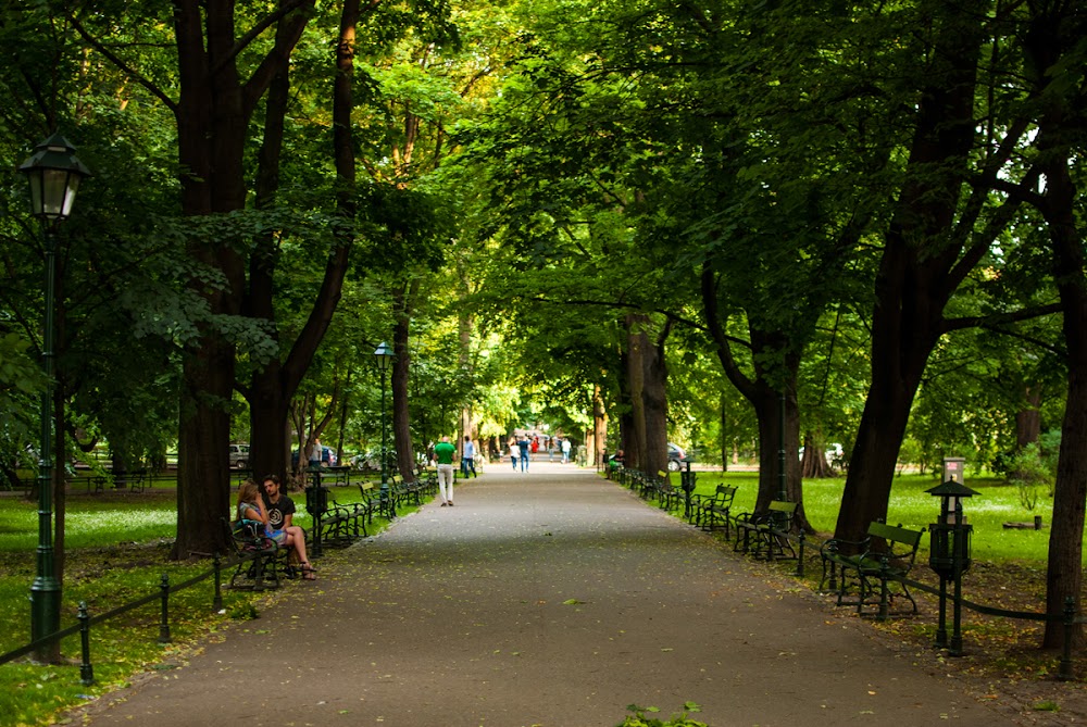 Planty fotoğraf 1