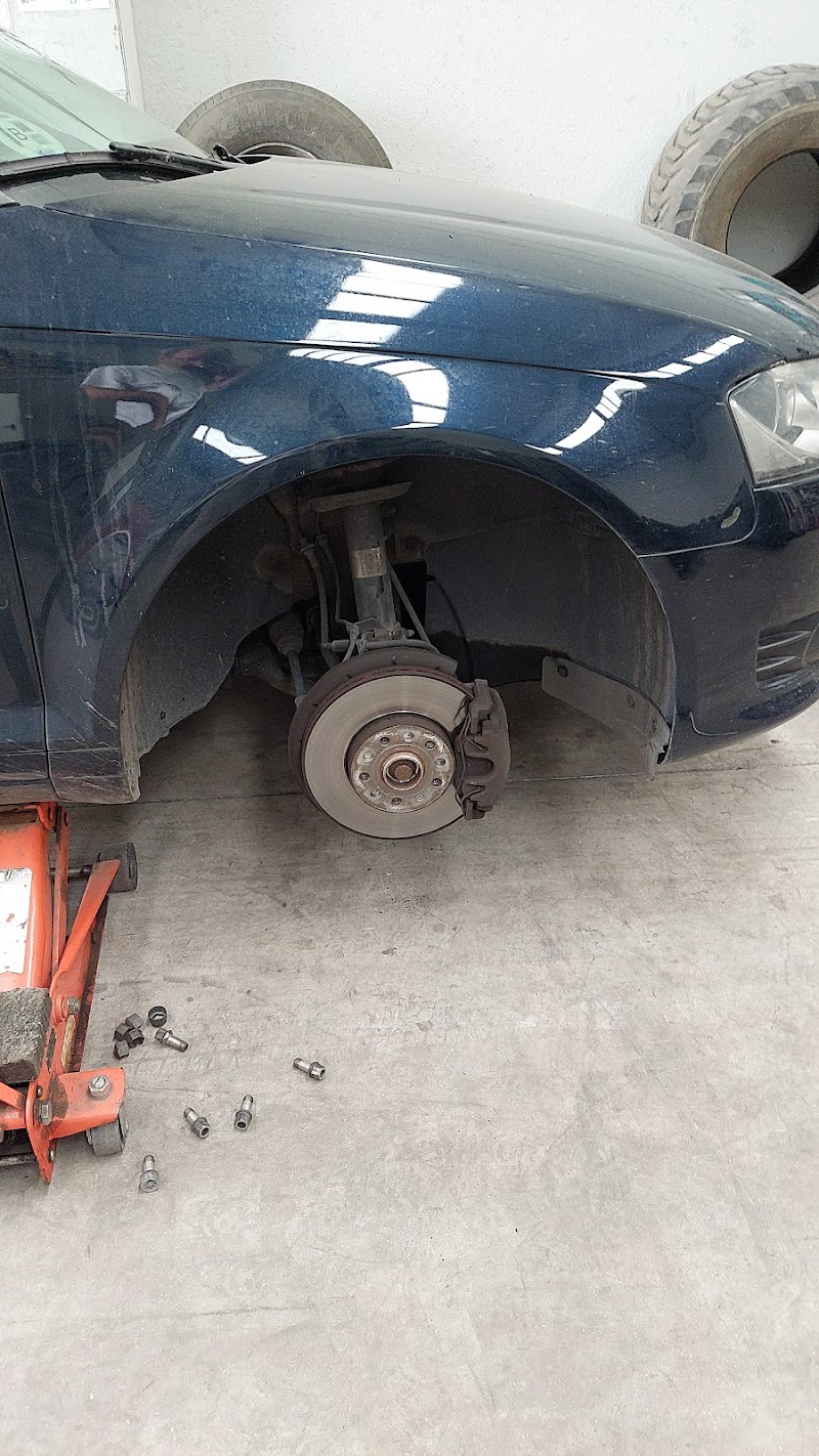 Neumaticos Regal photo 1