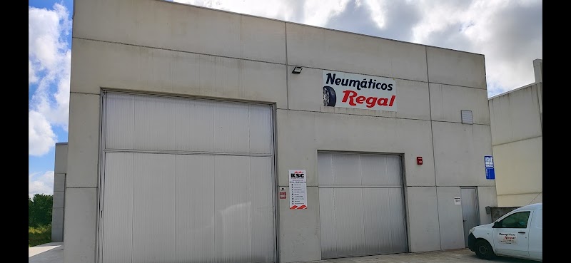 Neumaticos Regal photo 3